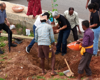 UnboxingBLR Joins Karnataka’s Record-Breaking Plantation Drive with 6,000-Sapling Bloom Avenue Project