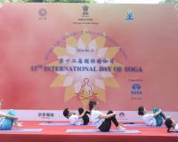 International Day of Yoga 2026: Indian Missions Worldwide Intensify Preparations as Global Participation Grows