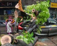 Monsoon Fury Paralyzes Mumbai as Structural Damage, Wall Collapses, and Fallen Trees Disrupt City