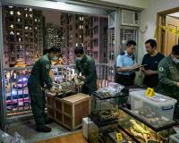 Snake Flat Mystery Unfolds: Hong Kong Woman Arrested After Crocodile Discovery Leads to Seizure of More Than 100 Reptiles
