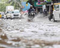 South-West Monsoon Intensifies Across Maharashtra; IMD Issues Alerts for 31 Districts as Mumbai Faces Over 100 Tree-Fall Incidents