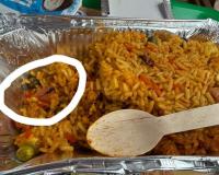 Dead Fly Allegedly Found in Veg Biryani on Tejas Express Sparks Outrage Over Railway Catering Standards