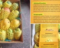 BJP President Nitin Nabin Sends Premium Indian Mango Hampers to Diplomats from 82 Countries in Cultural Outreach Initiative