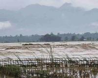 One Missing After Three Swept Away by Floodwaters in Assam's Dhemaji District Amid Worsening Crisis
