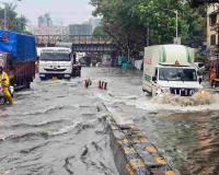 Navi Mumbai Paralyzed After Heavy Rainfall; Sanpada–APMC Road Submerged Under 1.5 Feet of Water