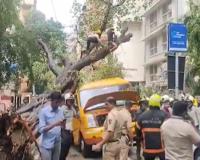 11-Year-Old Boy Killed, Four Children Injured After Tree Crushes School Bus in Mumbai's Chembur