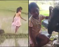 Viral Child and Porcupine Video Falsely Linked to Bangladesh, Fact-Check Confirms Sri Lankan Origin
