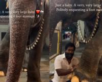 Temple Elephant Mangalam Wins Hearts Online with Adorable Request for Foot Massage