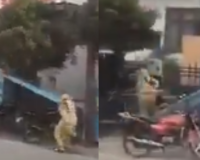 Storm Horror in Etawah: Woman Narrowly Escapes Serious Injury as Flying Metal Sheet Misses Her by Inches