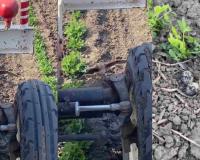 Mother Bird Stands Fearlessly Before Tractor to Protect Eggs, Emotional Video Captivates Millions Worldwide