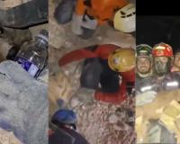 Trapped Beneath Earthquake Rubble, Dog Rescued After Hours of Relentless Effort in Venezuela