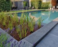 EcoScapes and Fluidra India Join Forces to Redefine Sustainable Luxury Pool Design