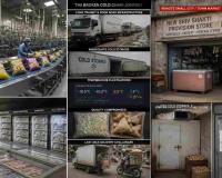 India’s Frozen Food Revolution Moves Beyond Metros as Cold Chain Infrastructure Becomes the Deciding Factor