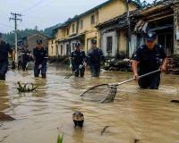 Floods Release Hundreds of Snakes, Including Venomous Cobras, Across Southern China After Snake Farm Is Submerged