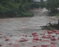 Monsoon Floods Sweep 3,000 LPG Cylinders into Maharashtra River as Authorities Issue Urgent Public Safety Warning