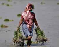 July Rainfall Likely to Remain Below Normal as Weak Monsoon Threatens Crop Sowing and Economic Stability in India