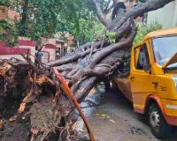 Mumbai's Silent Monsoon Threat: Falling Trees Turn Deadly as Chembur School Bus Tragedy Raises Serious Questions Over Civic Preparedness