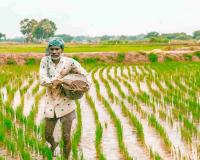 Weak Monsoon Triggers Sharp Decline in Kharif Crop Sowing Across India, Government Data Shows