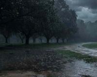 Heavy Rain Batters Several States as Monsoon Intensifies; Alerts Issued in Uttarakhand, Delhi Receives Long-Awaited Showers
