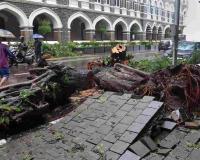 Monsoon Fury Intensifies Across India as IMD Issues Heavy Rain Alerts; Mumbai, Pune Face Severe Disruptions