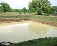 Mahasamund's Water Conservation Drive Stores 310 Million Litres, Showcasing Power of Community Action