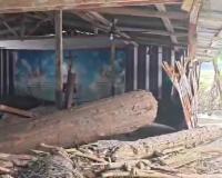 Flash Floods Devastate Arunachal Pradesh’s Kurung Kumey District, Bridges Washed Away Amid Heavy Monsoon Rainfall