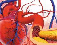 Good Cholesterol: Five Seeds That May Help Raise HDL Levels and Support Heart Health