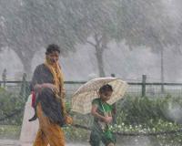 Monsoon Returns to Rajasthan After Two-Week Break, Heavy Rainfall Triggers Waterlogging in Sikar and Other Districts