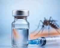 India’s Dengue Battle Enters a New Phase as First Vaccine Raises Questions on Preparedness and Prevention