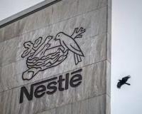 Nestlé India Reports 47.9% Profit Surge in June Quarter, Announces ₹2 Per Share Special Dividend Alongside Final Dividend