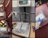 Delhi Airport Customs Bust Major Drug Smuggling Attempt, Hydroponic Marijuana Seized from Aircraft