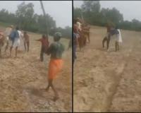 Field Boundary Dispute Turns Violent in Kasganj, Ten Injured as Stick Fight Erupts in Partapur Village