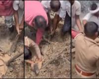 Crocodile Terror Ends After Six-Day Rescue Operation in Shahpur Gurjar Village