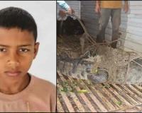 Crocodile Drags 12-Year-Old Boy Into Ghaghra River After Farm Work in Bahraich, Remains Recovered