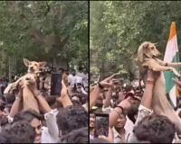 CJP Protest Video Goes Viral as Student Carries Puppy Into Crowd, Sparking Mixed Reactions