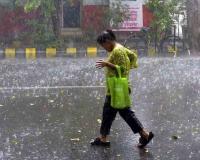 Rajasthan Monsoon Gains Momentum as Bharatpur Records Up to 170 mm Rain in 24 Hours