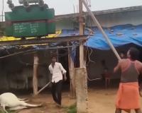 Villagers Smash Transformer After Cow Dies of Electrocution in Madhya Pradesh