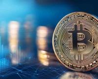 113 Crore Crypto Fraud Case: Amit Lakhampal Arrested in UAE After 8 Years
