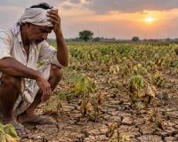 Maharashtra Rainfall Crisis Deepens as Long Dry Spells Threaten Kharif Crop Output