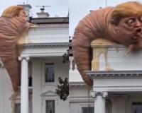 Giant Snail Meme Outside White House Sparks Trump Mockery and Political Reactions