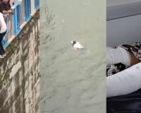 Man Fractures Both Legs in Failed Dam Jump While Attempting Social Media Reel