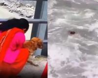 Woman Caught on Video Throwing Dog Into Nepal's Seti River