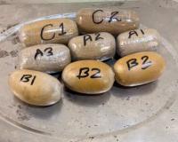 DRI Busts Major Gold Smuggling Syndicate at Mumbai Airport, 4 Arrested