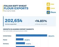 Italian Soft Wheat Flour Exports Surge 14.83% in H1 2026, Led by US Demand