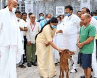 Mumbai Mayor Ritu Tawde Flags 50 Kg Plastic Found in Cow’s Stomach