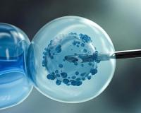 ED Seizes Rs 29 Lakh, Freezes Investments in Maharashtra Egg Donation Racket Probe