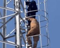 Bahraich Woman Climbs 100-Foot Mobile Tower to Marry Mumbai-Based Lover Online