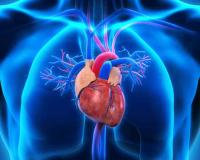 TAVR Linked to 51% Lower Infective Endocarditis Rate Than Surgical Valve Replacement
