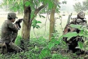Chhattisgarh: 14 Naxalites, Including 11 With Cumulative Bounty of Rs 41 Lakh, Held in Bijapur