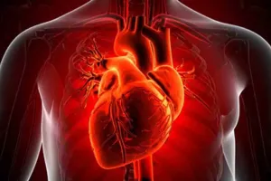 Cardiovascular diseases behind 1 in 3 global deaths in 2023: Study